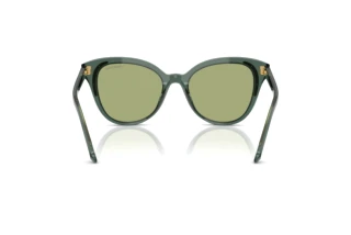 Bagside Swarovski SK6031 (104382)