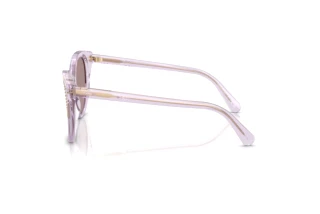 Sidevisning Swarovski SK6031 (1079LA)