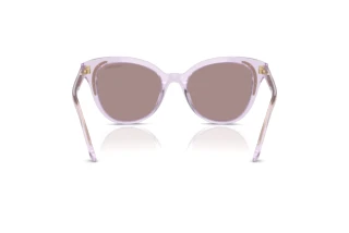 Bagside Swarovski SK6031 (1079LA)
