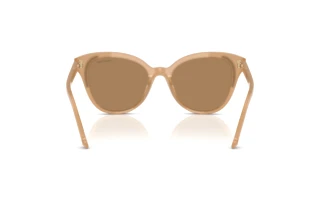 Bagside Swarovski SK6031 (2002M4)