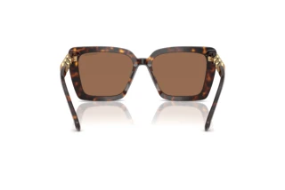 Bagside Swarovski SK6032 (100273)