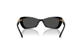 Bagside Swarovski SK6033 (100187)