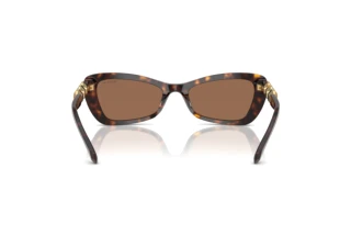 Bagside Swarovski SK6033 (100273)