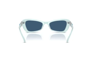 Bagside Swarovski SK6033 (102455)