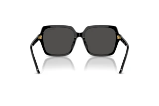 Bagside Swarovski SK6034D (100187)