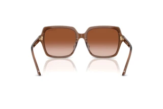 Bagside Swarovski SK6034D (106713)