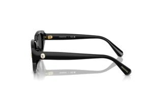 Sidevisning Swarovski SK6035D (100187)