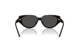 Bagside Swarovski SK6035D (100187)