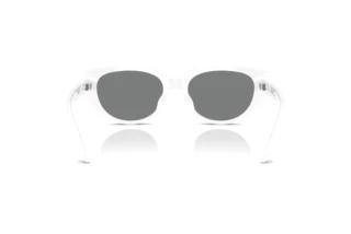 Bagside Swarovski SK6035D (105087)