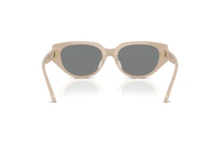 Bagside Swarovski SK6035D (106887)