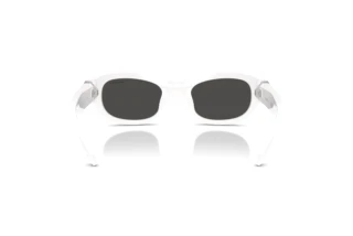 Bagside Swarovski SK6036U (105087)