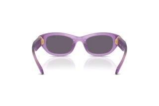 Bagside Swarovski SK6036U (10751A)