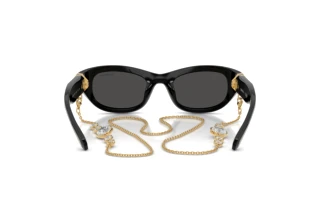 Bagside Swarovski SK6036U (107687)