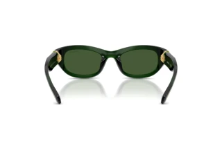 Bagside Swarovski SK6036U (108171)