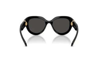 Bagside Swarovski SK6037 (100187)