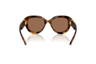 Bagside Swarovski SK6037 (100273)