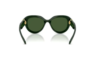 Bagside Swarovski SK6037 (102671)