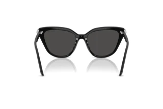 Bagside Swarovski SK6039 (100187)