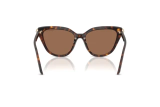 Bagside Swarovski SK6039 (100273)