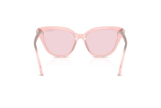 Bagside Swarovski SK6039 (1041P5)