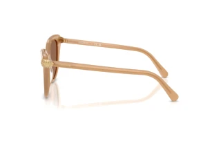 Sidevisning Swarovski SK6039 (2002OK)