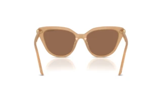 Bagside Swarovski SK6039 (2002OK)