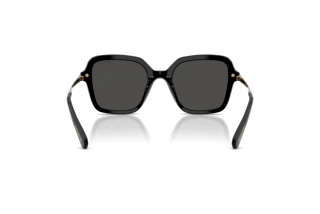 Bagside Swarovski SK6040 (100187)