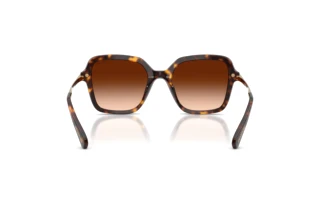 Bagside Swarovski SK6040 (100274)