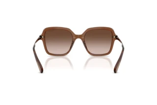 Bagside Swarovski SK6040 (106713)