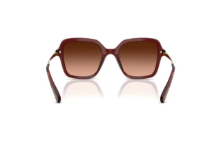 Bagside Swarovski SK6040 (10735M)