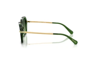 Sidevisning Swarovski SK6040 (10812A)