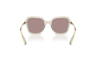 Bagside Swarovski SK6040 (3003LA)