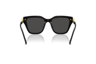 Bagside Swarovski SK6041 (100187)