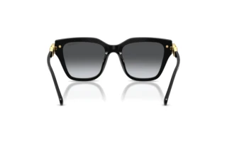 Bagside Swarovski SK6041 (1001T3)