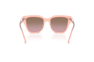 Bagside Swarovski SK6041 (104114)