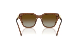 Bagside Swarovski SK6041 (1067T5)