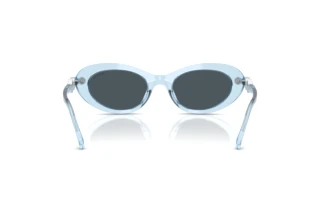 Bagside Swarovski SK6042 (107887)