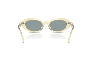 Bagside Swarovski SK6042 (1080/1)