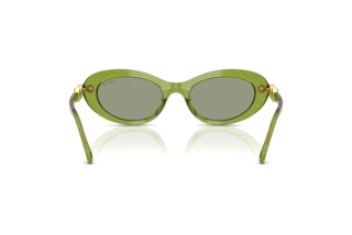 Bagside Swarovski SK6042 (3002/2)