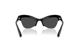 Bagside Swarovski SK6043 (100187)