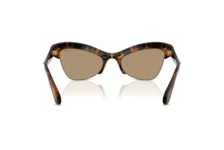 Bagside Swarovski SK6043 (100271)