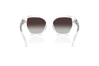 Bagside Swarovski SK6044U (10278G)