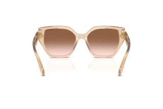 Bagside Swarovski SK6044U (103413)