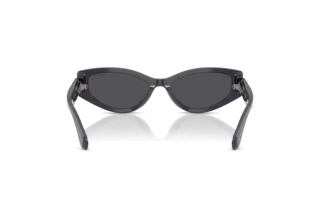 Bagside Swarovski SK6045U (10836G)