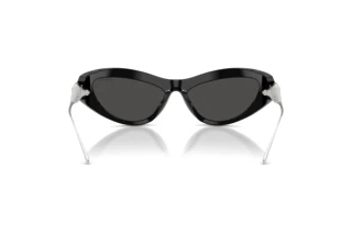 Bagside Swarovski SK6046 (100187)