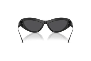 Bagside Swarovski SK6046 (10206G)