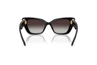 Bagside Swarovski SK6047 (10018G)