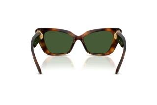 Bagside Swarovski SK6047 (100271)