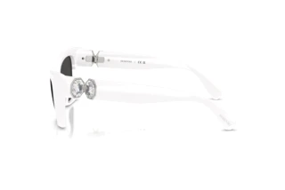 Sidevisning Swarovski SK6047 (105087)