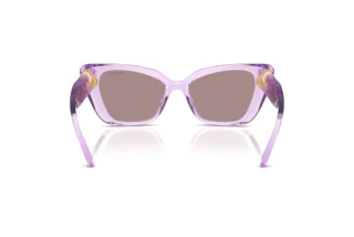 Bagside Swarovski SK6047 (1079LA)